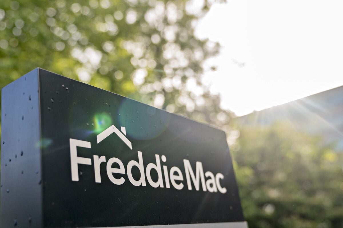 Ackman calls Fannie and Freddie 'stupidly cheap', sees 10x return potential